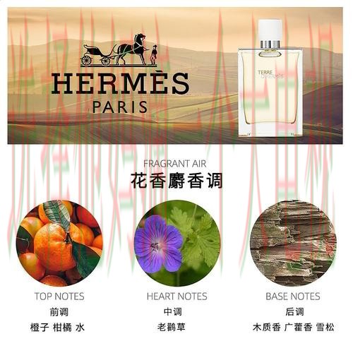 亚盈体育正规版官网入口